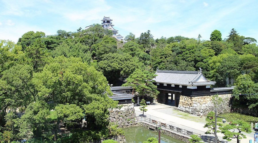🏛️ 고치 성역사박물관(코치켄리쓰 코치조 레키시 하쿠부쓰칸) 이미지 3